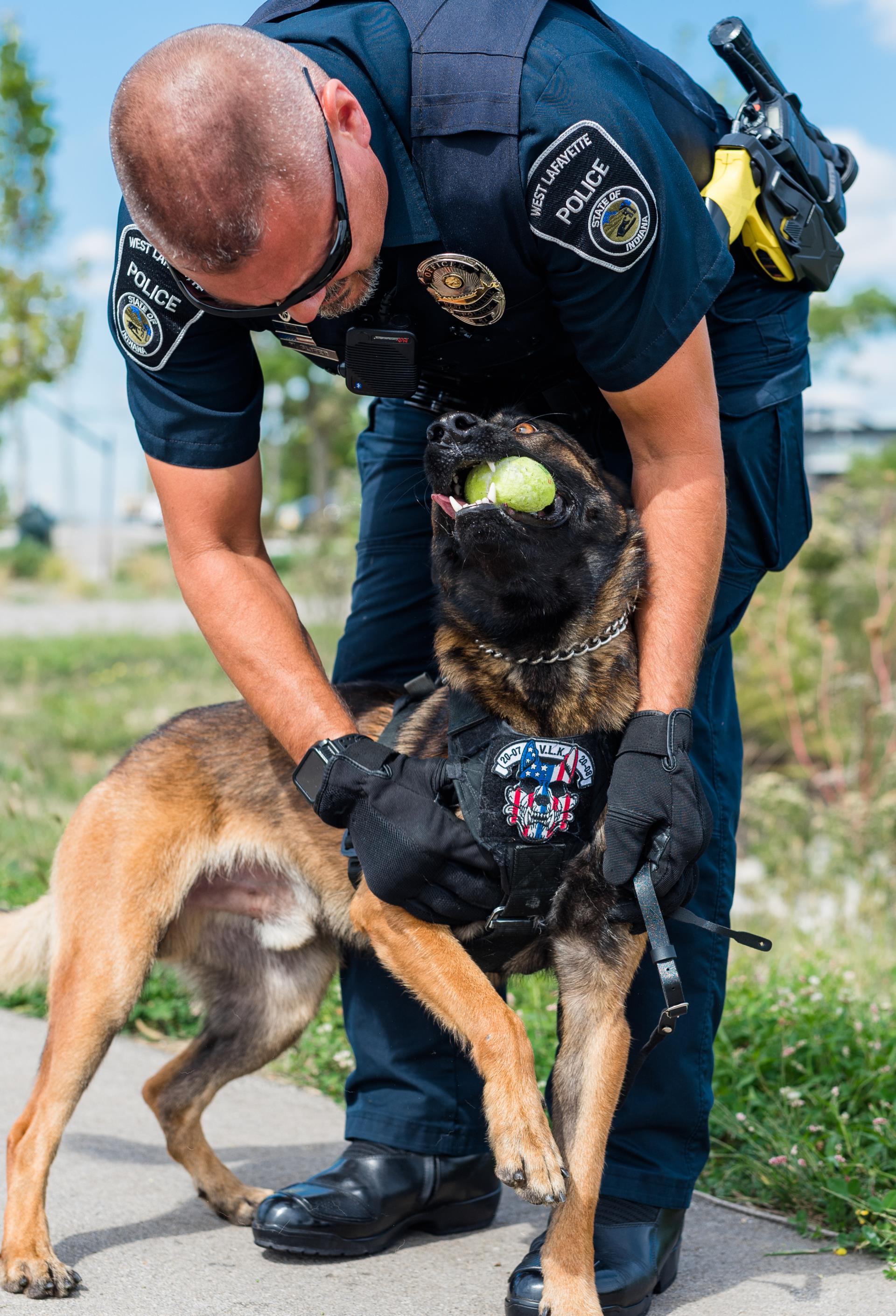 Male officer petting police dog